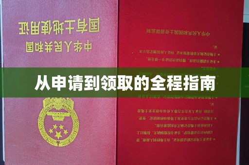 吉林从申请到领取的全程指南