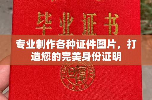吉林专业制作各种证件图片，打造您的完美身份证明