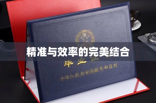 吉林精准与效率的完美结合